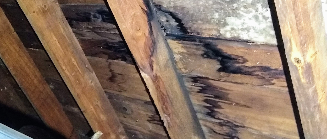 Severe wood rot and moisture damage on roof decking and rafters in Lake Elsinore CA home